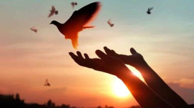 “Ecco lo Sposo”: un seminario spirituale per la riscoperta della vita coniugale